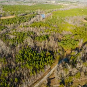 Photo #4 of SOLD property in Off Wilson Rd, Providence, NC 91.3 acres