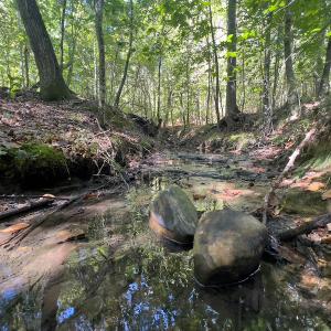 Photo #9 of SOLD property in Off Wilson Rd, Providence, NC 91.3 acres