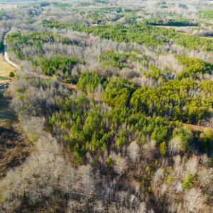 Photo #11 of SOLD property in Off Wilson Rd, Providence, NC 91.3 acres