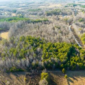 Photo #12 of SOLD property in Off Wilson Rd, Providence, NC 91.3 acres
