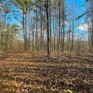 Photo #19 of SOLD property in Off Wilson Rd, Providence, NC 91.3 acres