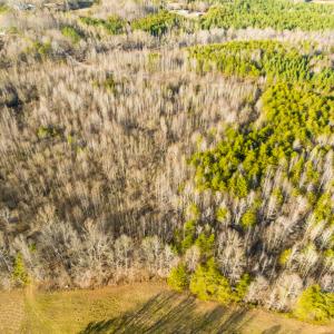 Photo #22 of SOLD property in Off Wilson Rd, Providence, NC 91.3 acres