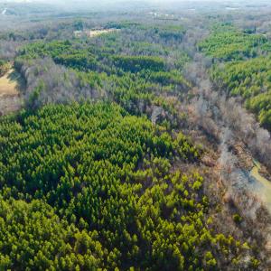 Photo #23 of SOLD property in Off Wilson Rd, Providence, NC 91.3 acres