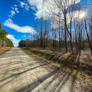 Photo #24 of SOLD property in Off Wilson Rd, Providence, NC 91.3 acres