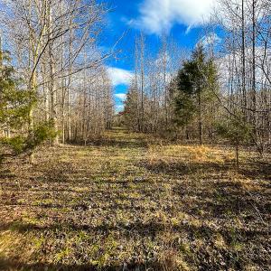 Photo #27 of SOLD property in Off Wilson Rd, Providence, NC 91.3 acres