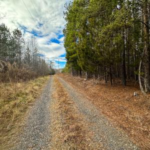 Photo #29 of SOLD property in Off Wilson Rd, Providence, NC 91.3 acres