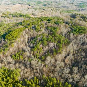Photo #30 of SOLD property in Off Wilson Rd, Providence, NC 91.3 acres
