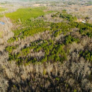 Photo #33 of SOLD property in Off Wilson Rd, Providence, NC 91.3 acres