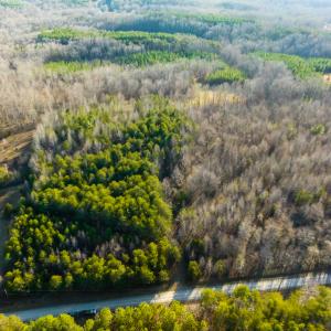 Photo #34 of SOLD property in Off Wilson Rd, Providence, NC 91.3 acres