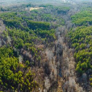 Photo #38 of SOLD property in Off Wilson Rd, Providence, NC 91.3 acres