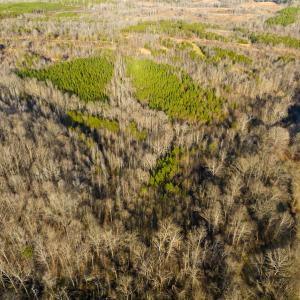 Photo #41 of SOLD property in Off Wilson Rd, Providence, NC 91.3 acres