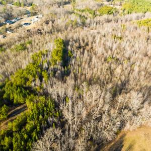 Photo #43 of SOLD property in Off Wilson Rd, Providence, NC 91.3 acres