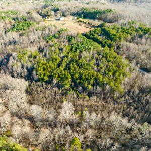 Photo #44 of SOLD property in Off Wilson Rd, Providence, NC 91.3 acres
