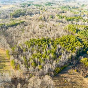 Photo #45 of SOLD property in Off Wilson Rd, Providence, NC 91.3 acres