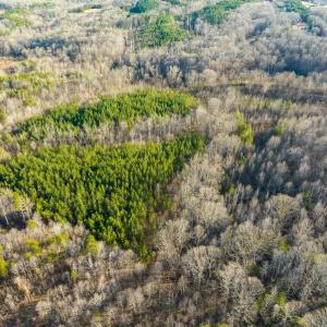 Photo #49 of SOLD property in Off Wilson Rd, Providence, NC 91.3 acres