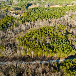Photo #50 of SOLD property in Off Wilson Rd, Providence, NC 91.3 acres