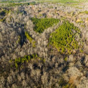 Photo #51 of SOLD property in Off Wilson Rd, Providence, NC 91.3 acres