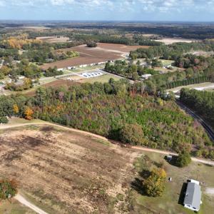 Photo #14 of SOLD property in Off Neverson Road, Sims, NC 11.2 acres