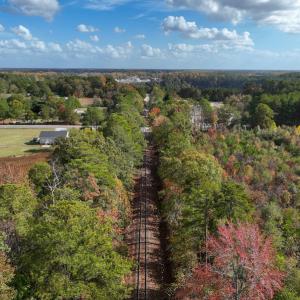 Photo #20 of SOLD property in Off Neverson Road, Sims, NC 11.2 acres