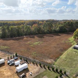 Photo #21 of SOLD property in Off Neverson Road, Sims, NC 11.2 acres