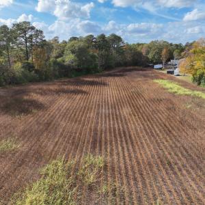 Photo #22 of SOLD property in Off Neverson Road, Sims, NC 11.2 acres