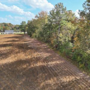 Photo #23 of SOLD property in Off Neverson Road, Sims, NC 11.2 acres