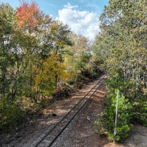 Photo #24 of SOLD property in Off Neverson Road, Sims, NC 11.2 acres