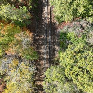 Photo #25 of SOLD property in Off Neverson Road, Sims, NC 11.2 acres