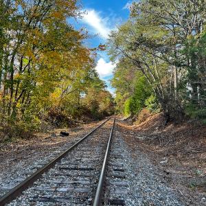 Photo #26 of SOLD property in Off Neverson Road, Sims, NC 11.2 acres