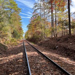 Photo #27 of SOLD property in Off Neverson Road, Sims, NC 11.2 acres