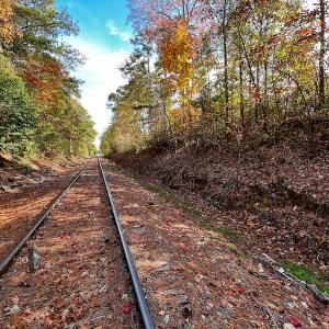 Photo #28 of SOLD property in Off Neverson Road, Sims, NC 11.2 acres