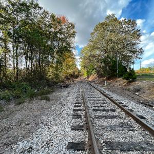 Photo #29 of SOLD property in Off Neverson Road, Sims, NC 11.2 acres