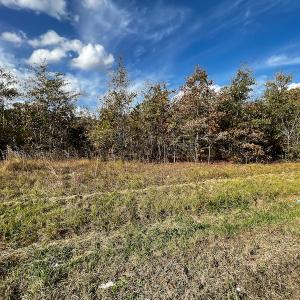 Photo #30 of SOLD property in Off Neverson Road, Sims, NC 11.2 acres
