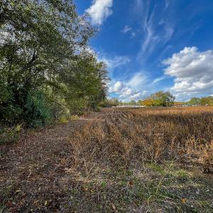 Photo #31 of SOLD property in Off Neverson Road, Sims, NC 11.2 acres