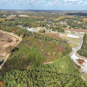Photo #3 of SOLD property in Off Neverson Road, Sims, NC 11.2 acres