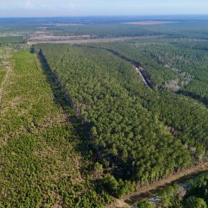 Photo #20 of SOLD property in Off Adams Creek Rd, Havelock, NC 43.1 acres