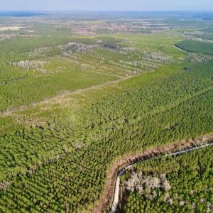 Photo #22 of SOLD property in Off Adams Creek Rd, Havelock, NC 43.1 acres