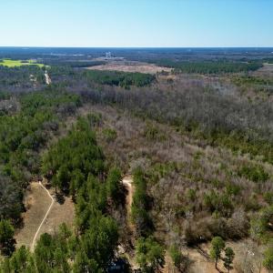 Photo #2 of SOLD property in Off Sherman Road, Maxton, NC 41.4 acres