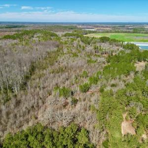 Photo #12 of SOLD property in Off Sherman Road, Maxton, NC 41.4 acres