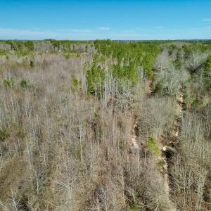 Photo #15 of SOLD property in Off Sherman Road, Maxton, NC 41.4 acres