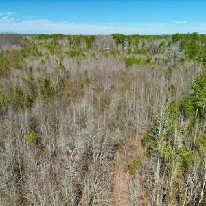 Photo #16 of SOLD property in Off Sherman Road, Maxton, NC 41.4 acres