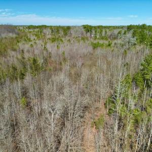 Photo #16 of SOLD property in Off Sherman Road, Maxton, NC 41.4 acres