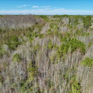 Photo #17 of SOLD property in Off Sherman Road, Maxton, NC 41.4 acres