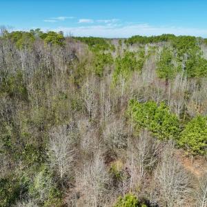 Photo #18 of SOLD property in Off Sherman Road, Maxton, NC 41.4 acres