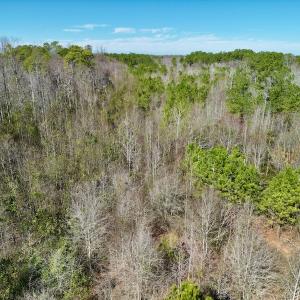 Photo #18 of SOLD property in Off Sherman Road, Maxton, NC 41.4 acres