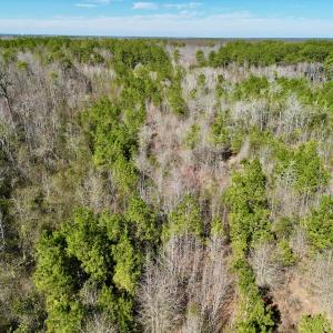 Photo #19 of SOLD property in Off Sherman Road, Maxton, NC 41.4 acres
