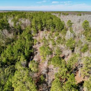 Photo #20 of SOLD property in Off Sherman Road, Maxton, NC 41.4 acres