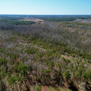 Photo #3 of SOLD property in Off Sherman Road, Maxton, NC 41.4 acres
