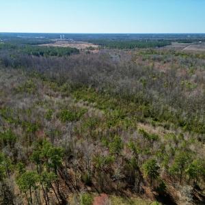 Photo #3 of SOLD property in Off Sherman Road, Maxton, NC 41.4 acres