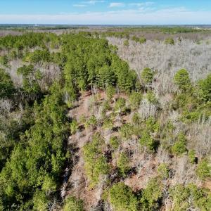 Photo #21 of SOLD property in Off Sherman Road, Maxton, NC 41.4 acres